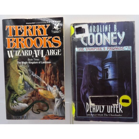 2 Book Set Terry Brooks Wizard at Large, Caroline B. Cooney The Vampire's Promis - Picture 1 of 1